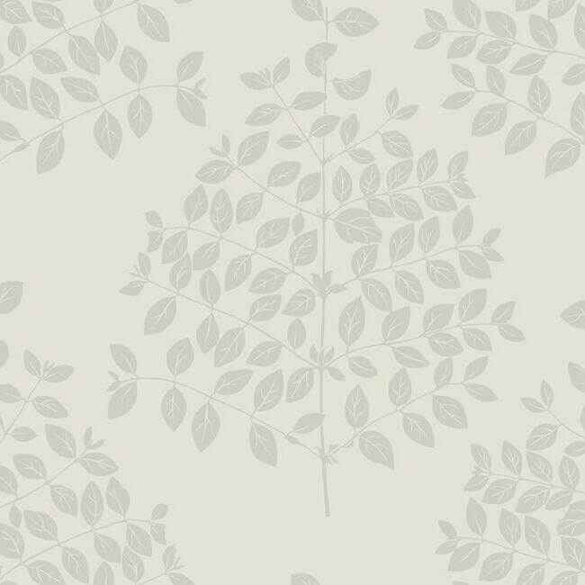 Tender Cream & Silver Wallpaper - York Wallcoverings - OS4251