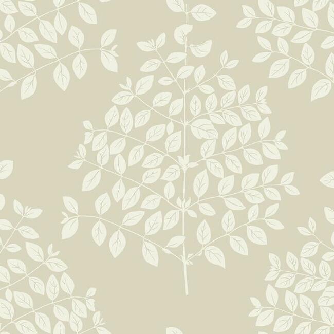 tender-wallpaper-pearl-taupe-york-wallcoverings-os4253 - York Wallcoverings Wallpaper