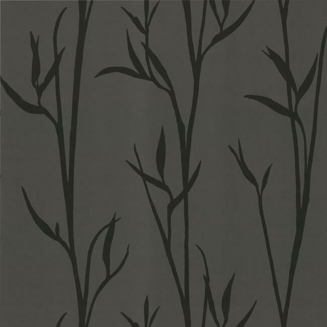 matcha-high-performance-wallpaper-smokey-pearl-york-wallcoverings-da3511n