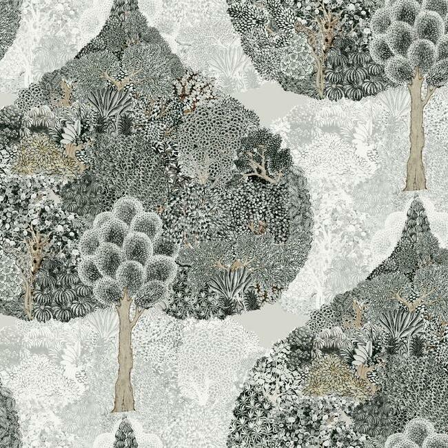 mystic-forest-wallpaper-black-york-wallcoverings-bo6703 - York Wallcoverings Wallpaper