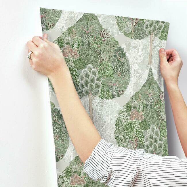 mystic-forest-green-coral-wallpaper-york-wallcoverings-bo6702 - York Wallcoverings Wallpaper