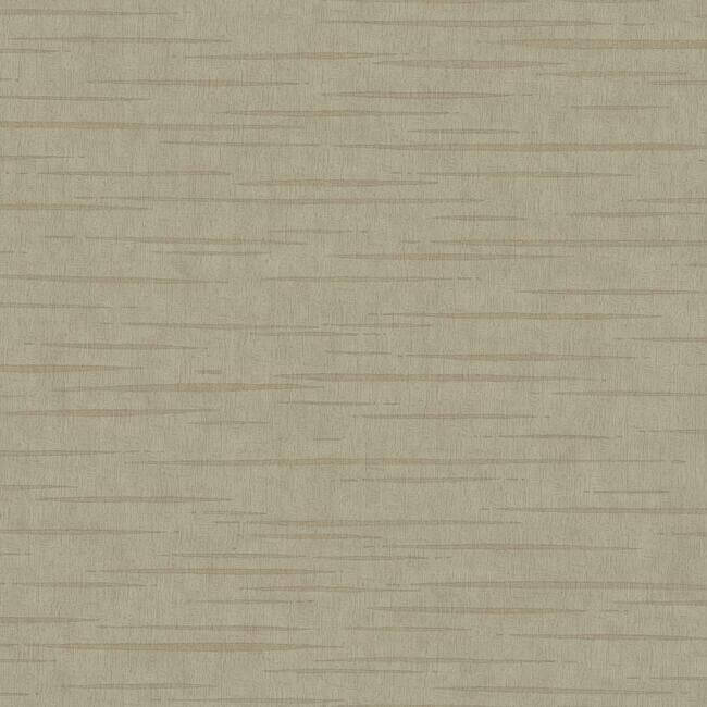 tigers-eye-wallpaper-taupe-york-wallcoverings-dd3761 - York Wallcoverings Wallpaper