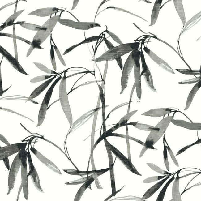 bamboo-ink-black-white-wallpaper-york-wallcoverings-bw3843 - York Wallcoverings Wallpaper
