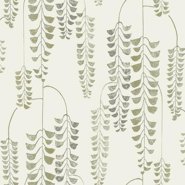 deco-wisteria-wallpaper-creamgold-york-wallcoverings-bw3941 - York Wallcoverings Wallpaper