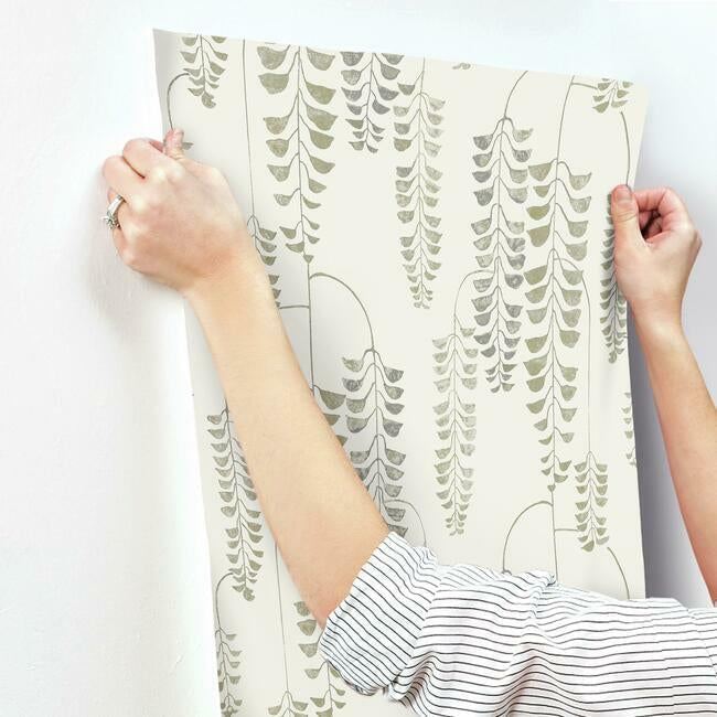 deco-wisteria-wallpaper-creamgold-york-wallcoverings-bw3941 - York Wallcoverings Wallpaper