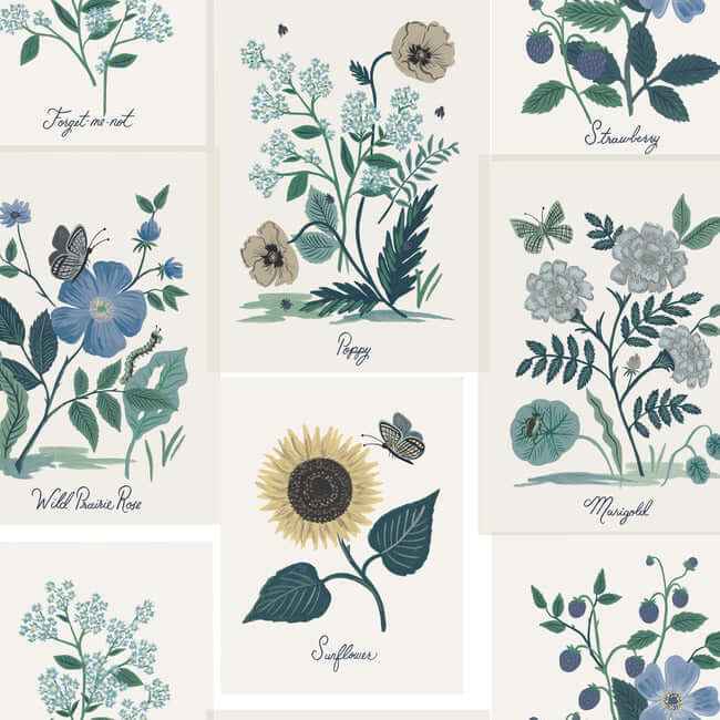 Botanical Prints White & Blue Wallpaper - York Wallcoverings - RP7335 - York Wallcoverings Wallpaper