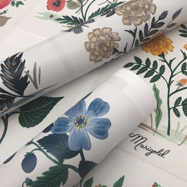 botanical-prints-wallpaper-indigo-york-wallcoverings-rp7335 - York Wallcoverings Wallpaper