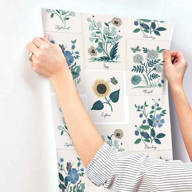 Botanical Prints White & Blue Wallpaper - York Wallcoverings - RP7335 - York Wallcoverings Wallpaper
