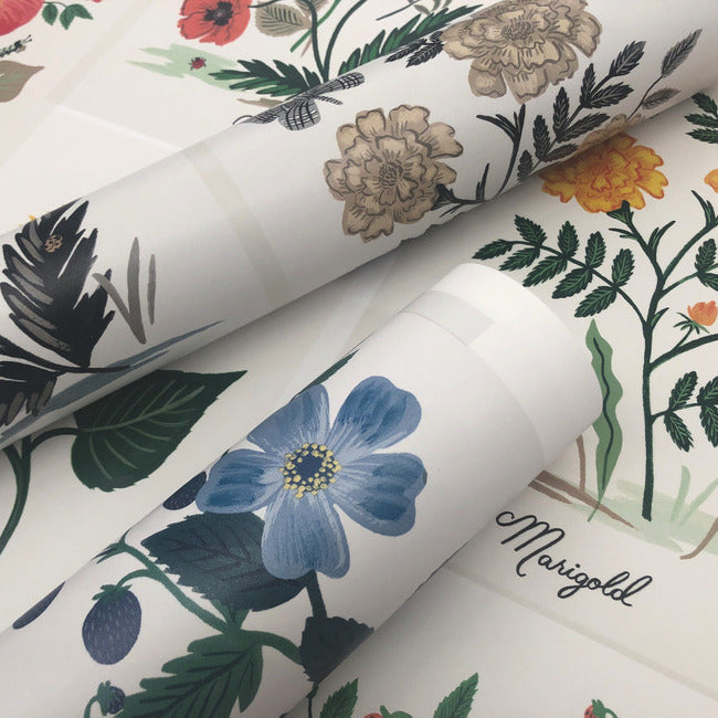botanical-prints-wallpaper-linen-york-wallcoverings-rp7336