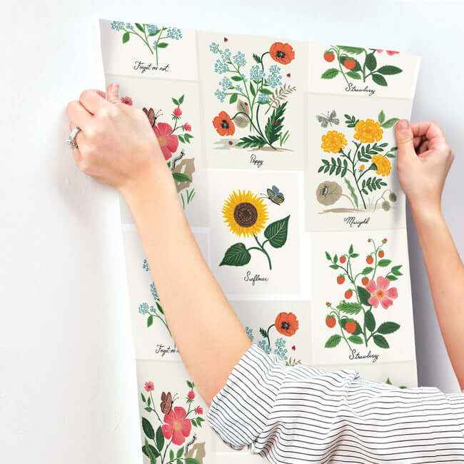 Botanical Prints White & Pink Wallpaper - York Wallcoverings - RP7334 - York Wallcoverings Wallpaper