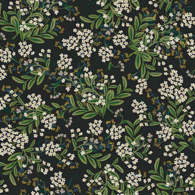Cornflower Black & Green Wallpaper - York Wallcoverings - RP7384 - York Wallcoverings Wallpaper