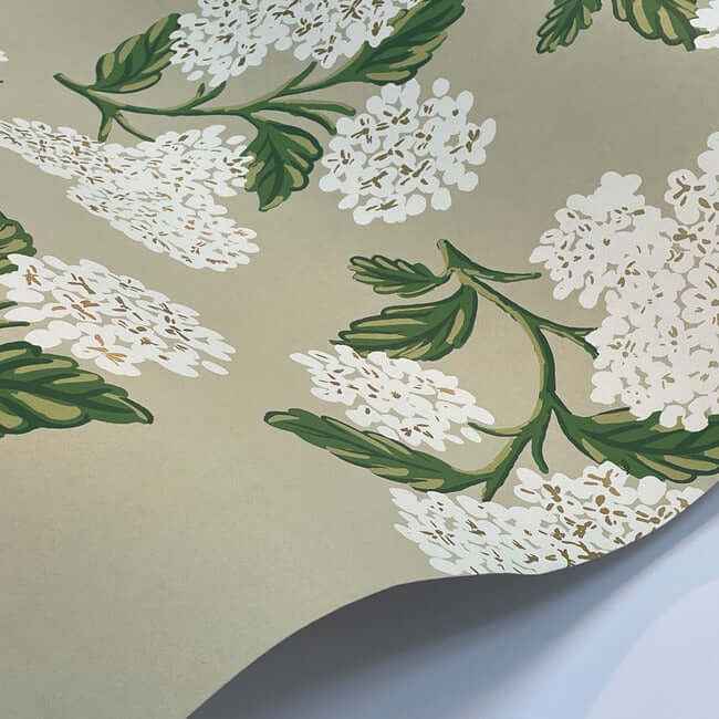 Hydrangea Beige Wallpaper - York Wallcoverings - RP7394 - York Wallcoverings Wallpaper