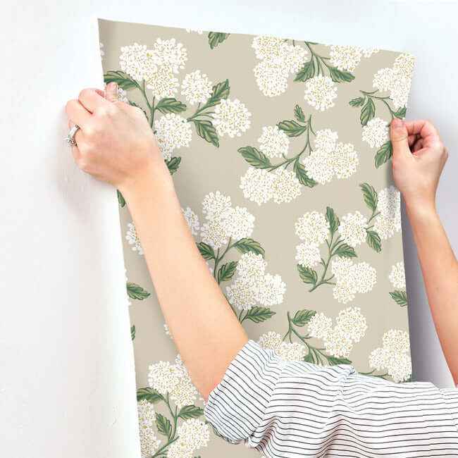 Hydrangea Beige Wallpaper - York Wallcoverings - RP7394 - York Wallcoverings Wallpaper