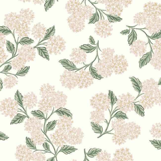 Hydrangea Beige & Pink Wallpaper - York Wallcoverings - RP7393 - York Wallcoverings Wallpaper