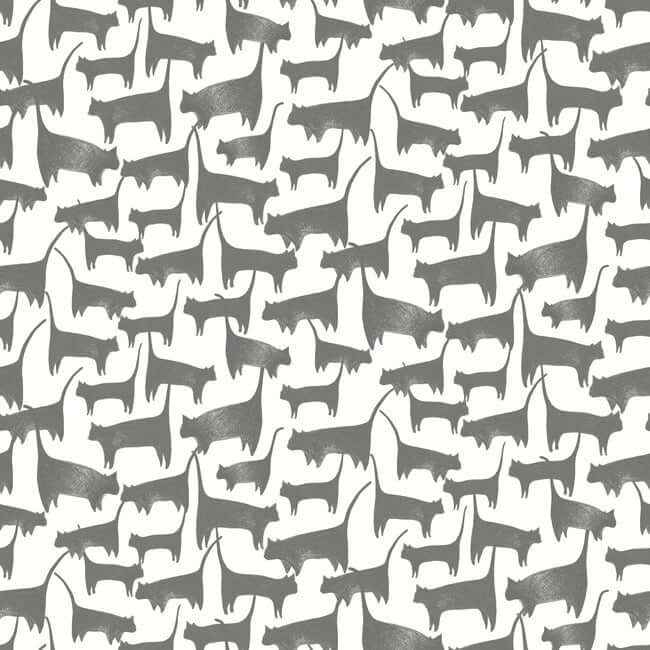 Cat Tails Black Peel & Stick Wallpaper - York Wallcoverings - PSW1340RL