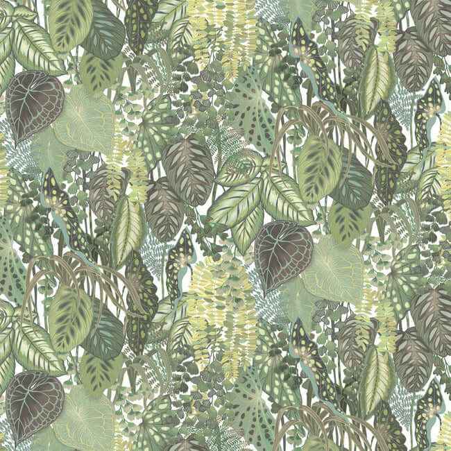 Greenery Cotton Wall Mural - York Wallcoverings - GO8332M