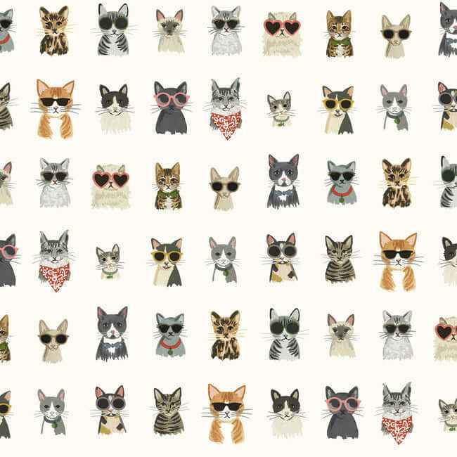 Cool Cats Multi White Peel & Stick Wallpaper - York Wallcoverings - PSW1463RL