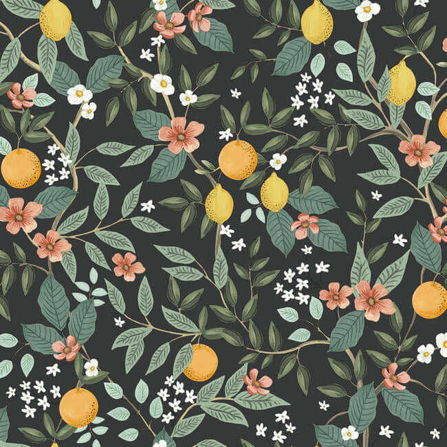 citrus-grove-black-peel-stick-wallpaper-york-wallcoverings-psw1482rl - York Wallpaper Wallpaper