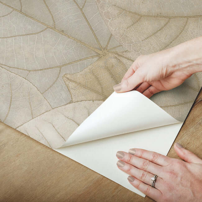 leaf-concerto-warm-taupe-peel-stick-wallpaper-york-wallcoverings-psw1425rl - York Wallpaper Wallpaper