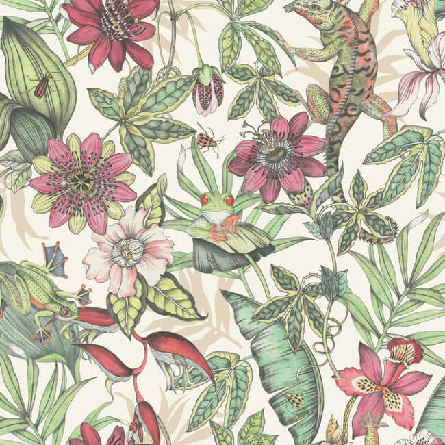 rainforest-multicolor-wallpaper-york-wallcoverings-bl1702 - York Wallpaper Wallpaper