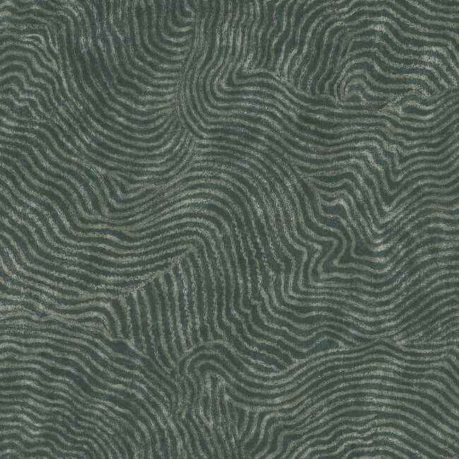 Modern Wood Forest Wallpaper - York Wallcoverings - OI0711 - York Wallcoverings Wallpaper