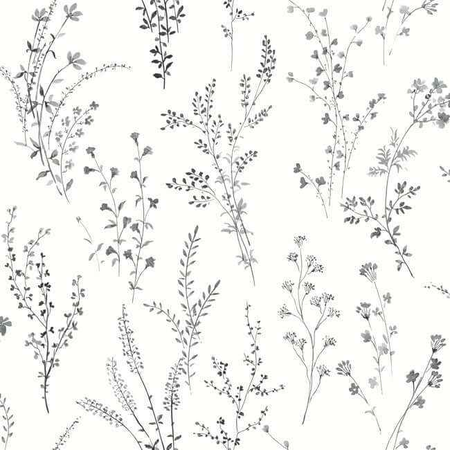 Wildflower Sprigs Black & White Peel & Stick Wallpaper - York Wallcoverings - PSW1522RL