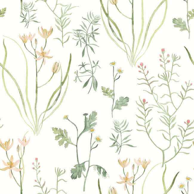 Alpine Botanical Peach Peel & Stick Wallpaper - York Wallcoverings - PSW1519RL