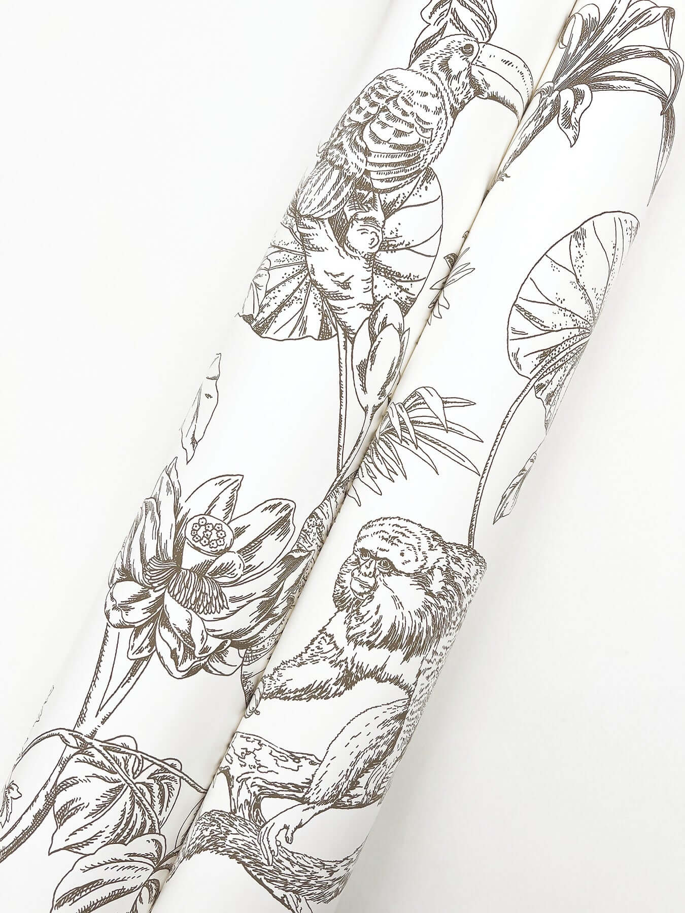 tropical-sketch-toile-brown-wallpaper-york-wallcoverings-rt7843 - York Wallpaper Wallpaper