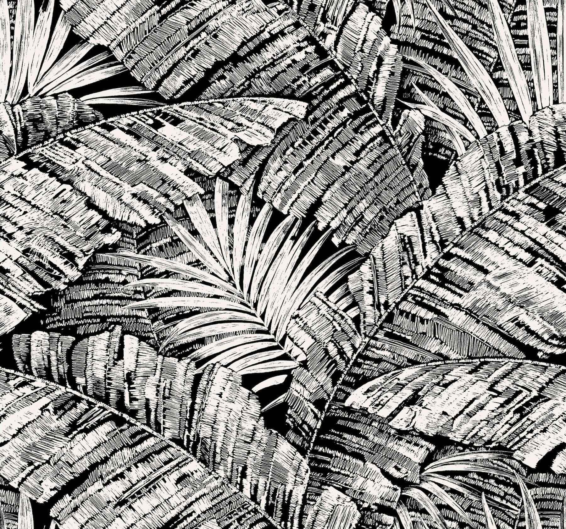 Palm Cove Toile White & Black Wallpaper - York Wallcoverings - RT7921