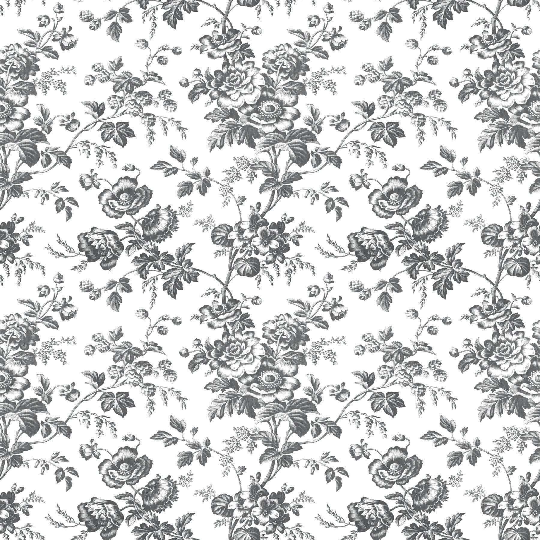 Anemone Toile Black Wallpaper - York Wallcoverings - RT7875 - York Wallcoverings Wallpaper