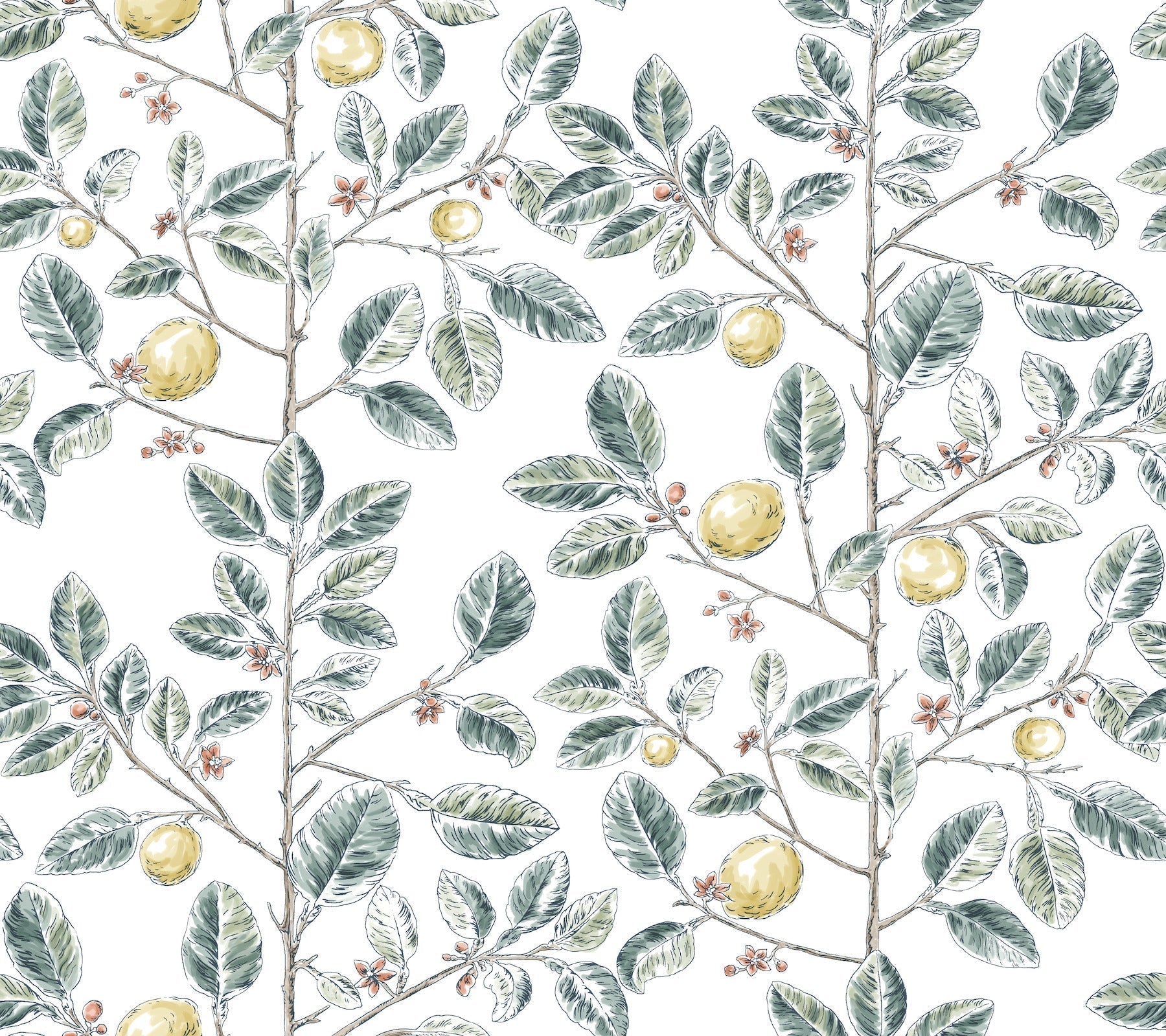 limoncello-toile-wallpaper-forest-york-wallcoverings-rt7914