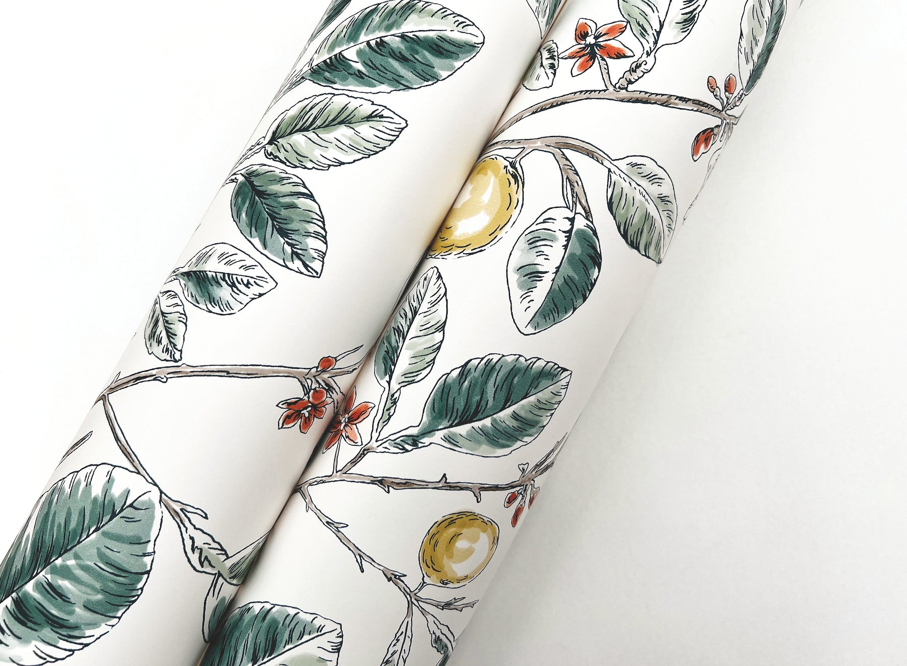 limoncello-toile-wallpaper-forest-york-wallcoverings-rt7914