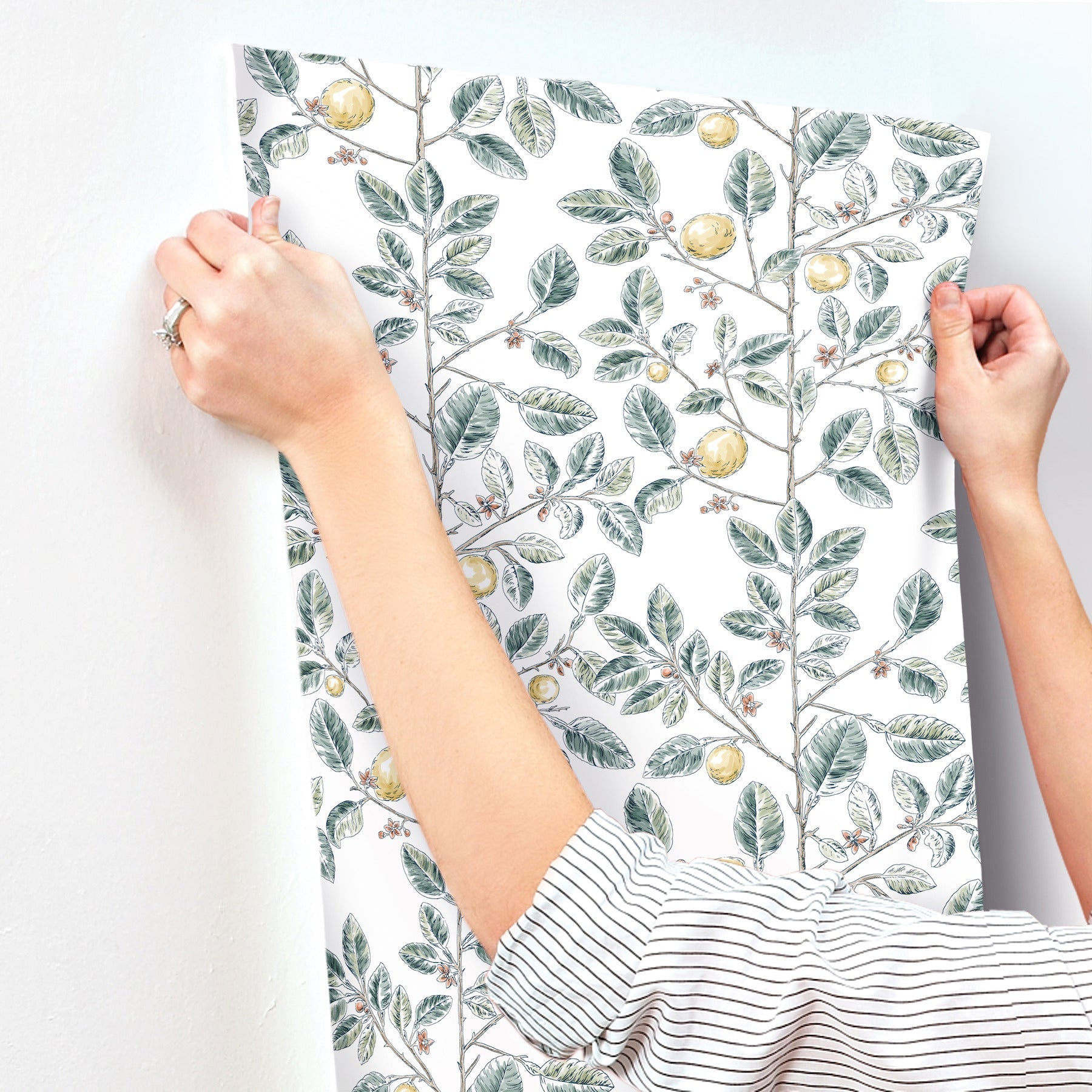 limoncello-toile-wallpaper-forest-york-wallcoverings-rt7914