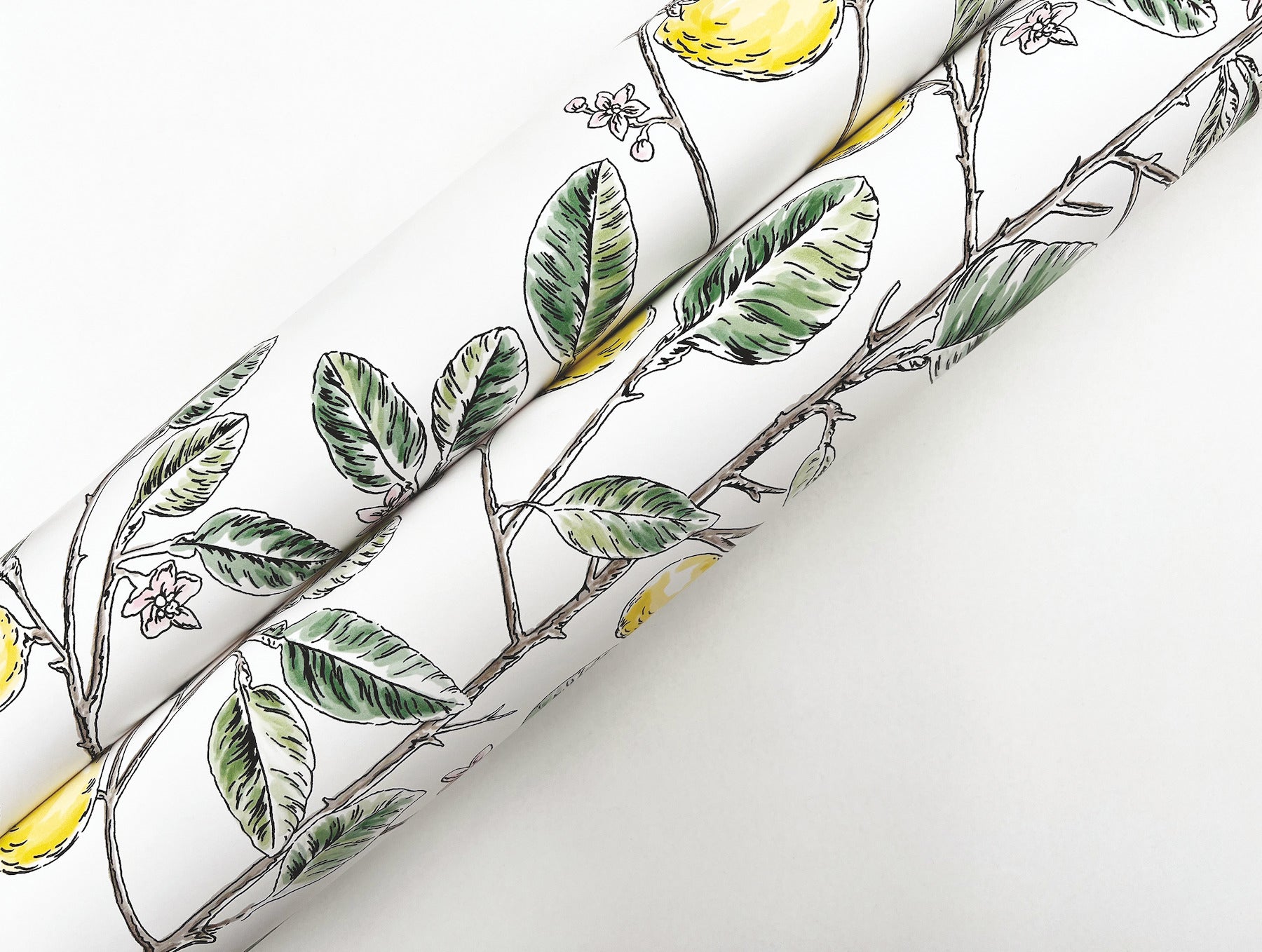 limoncello-toile-wallpaper-green-york-wallcoverings-rt7911