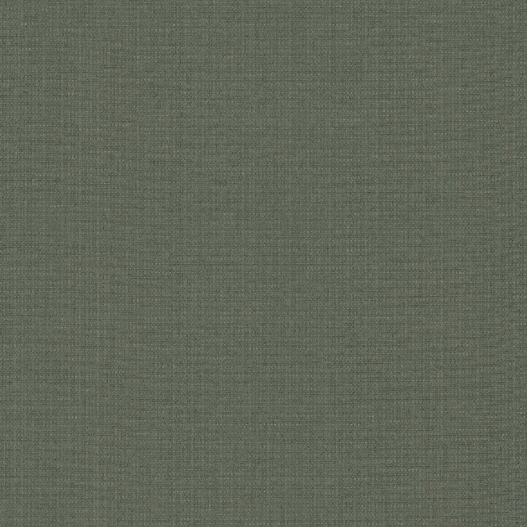 wicker-work-evergreen-wallpaper-york-wallcoverings-gv0261 - York Wallcoverings Wallpaper
