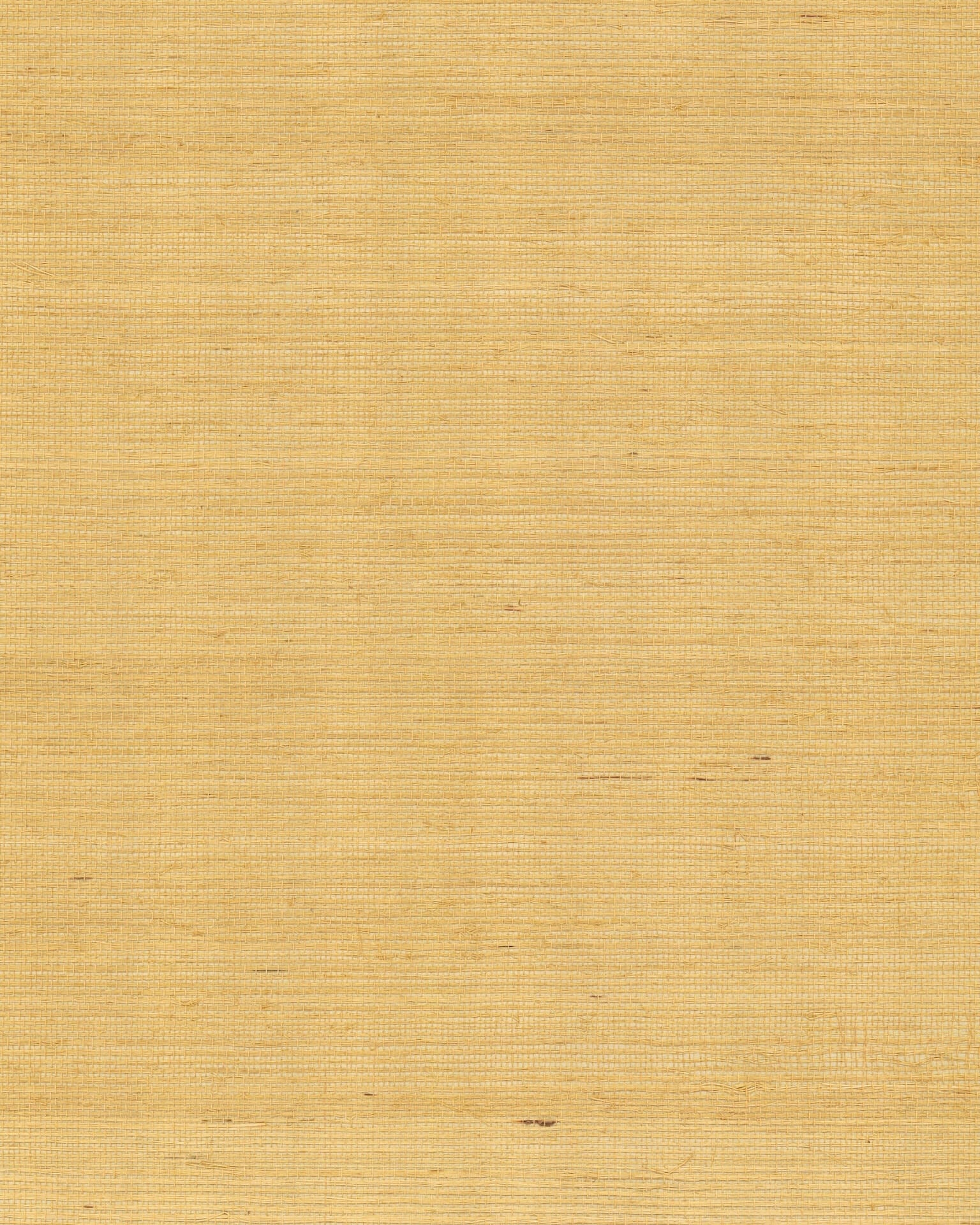 maguey-sisal-gold-wallpaper-york-wallcoverings-gv0114nw - York Wallpaper Wallpaper