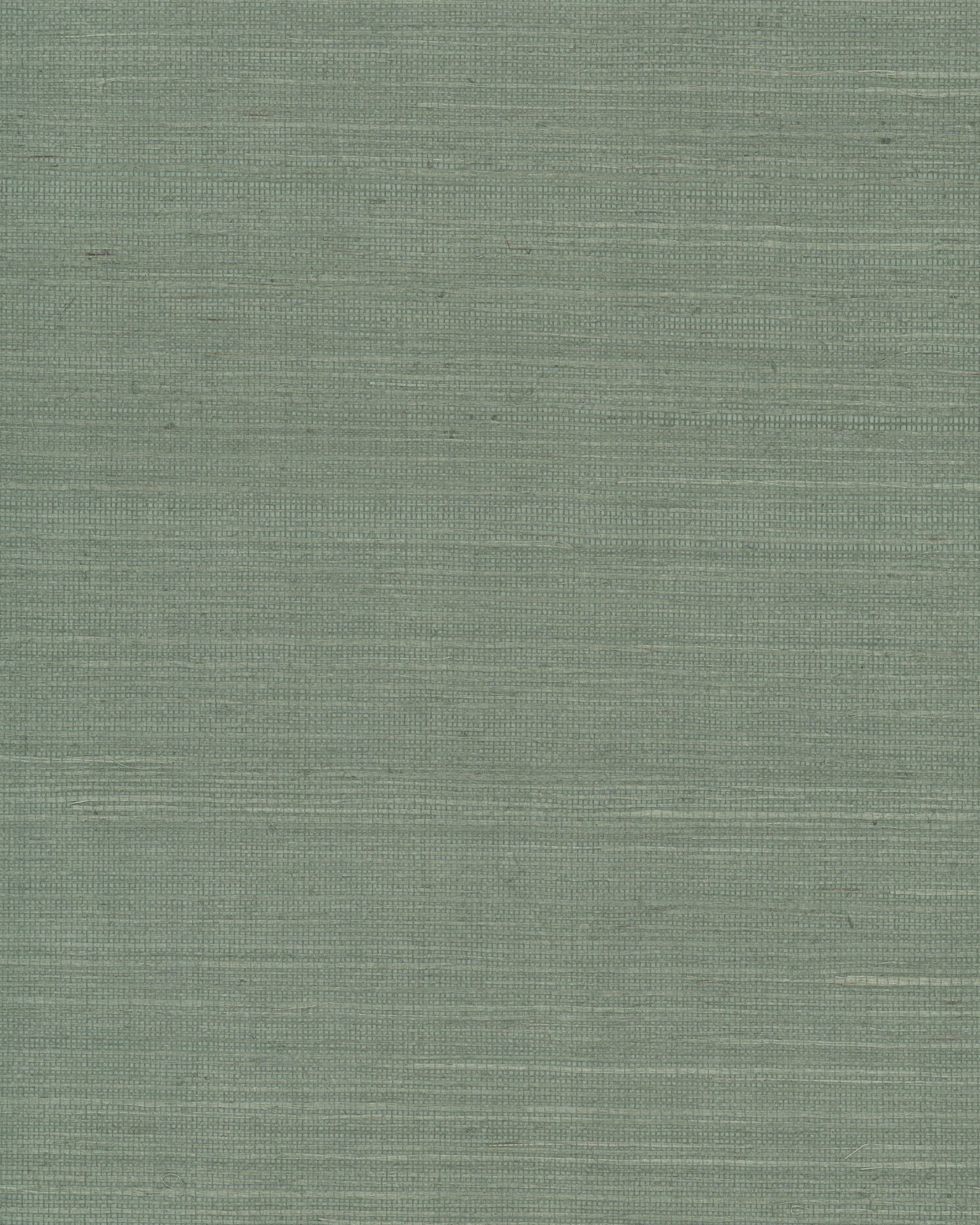maguey-sage-sisal-wallpaper-sage-york-wallcoverings-gv0146nw
