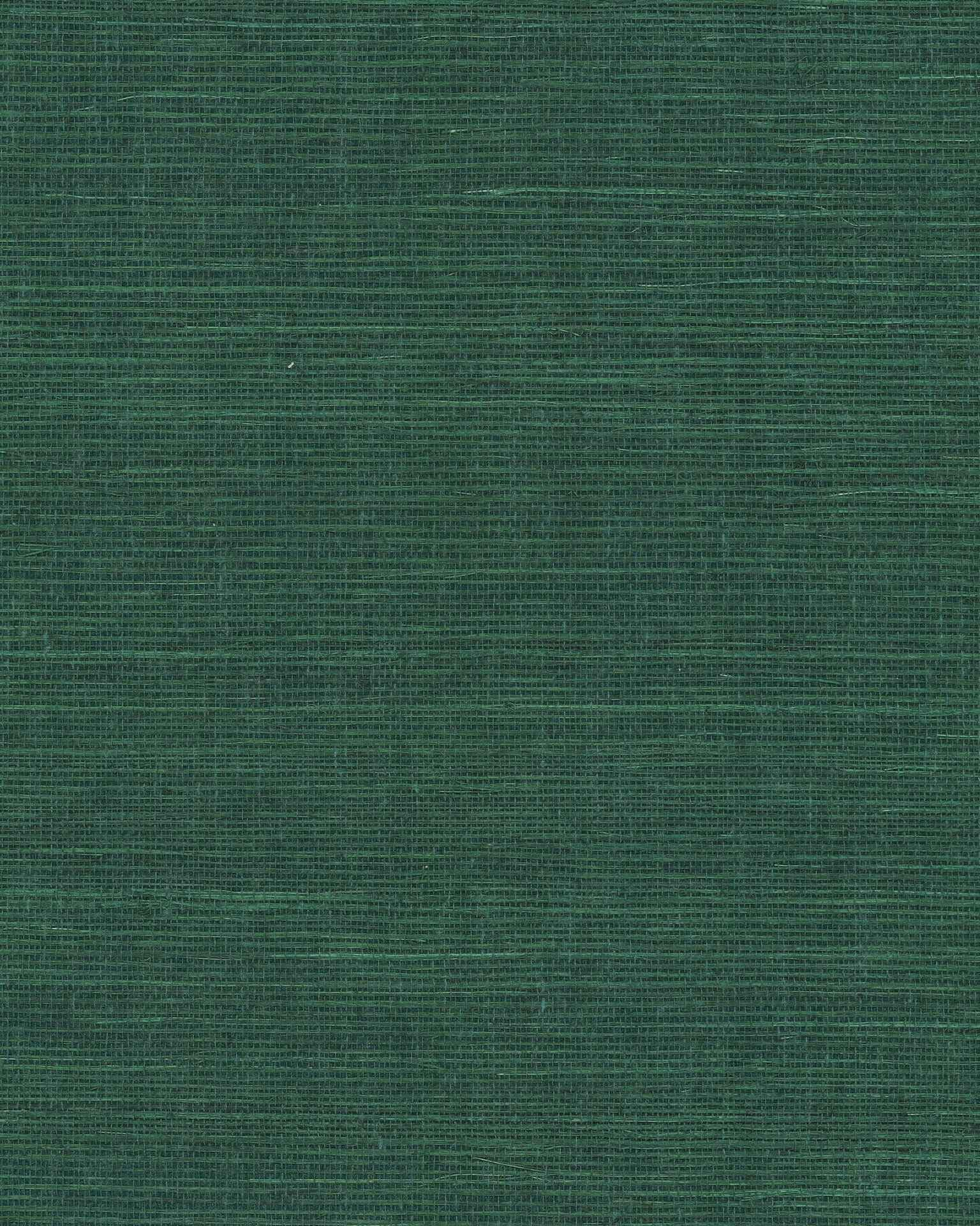 Maguey Sisal Forest Wallpaper - York Wallcoverings - GV0148NW