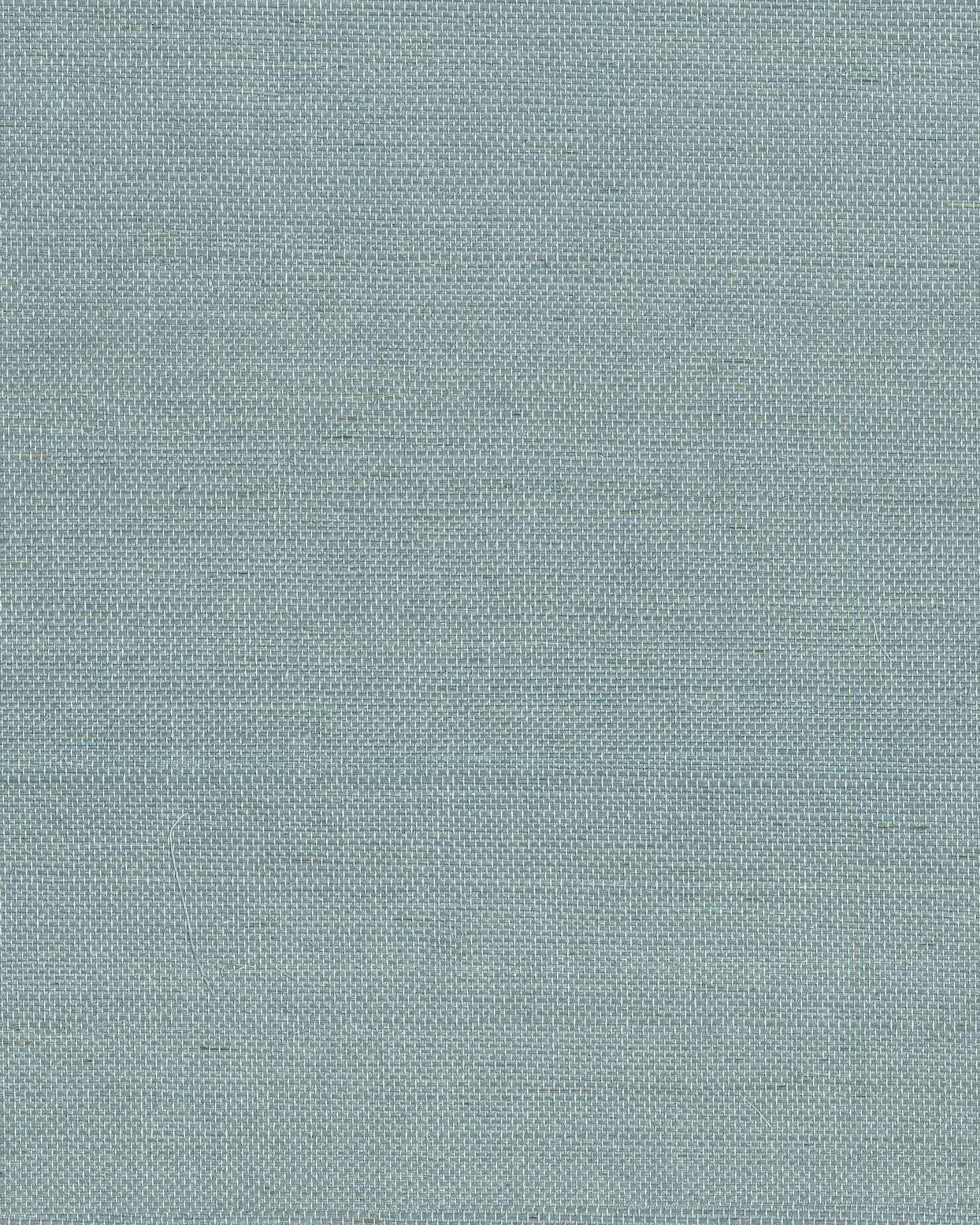 Maguey Sisal Dragonfly Wallpaper - York Wallcoverings - GV0153NW - York Wallcoverings Wallpaper