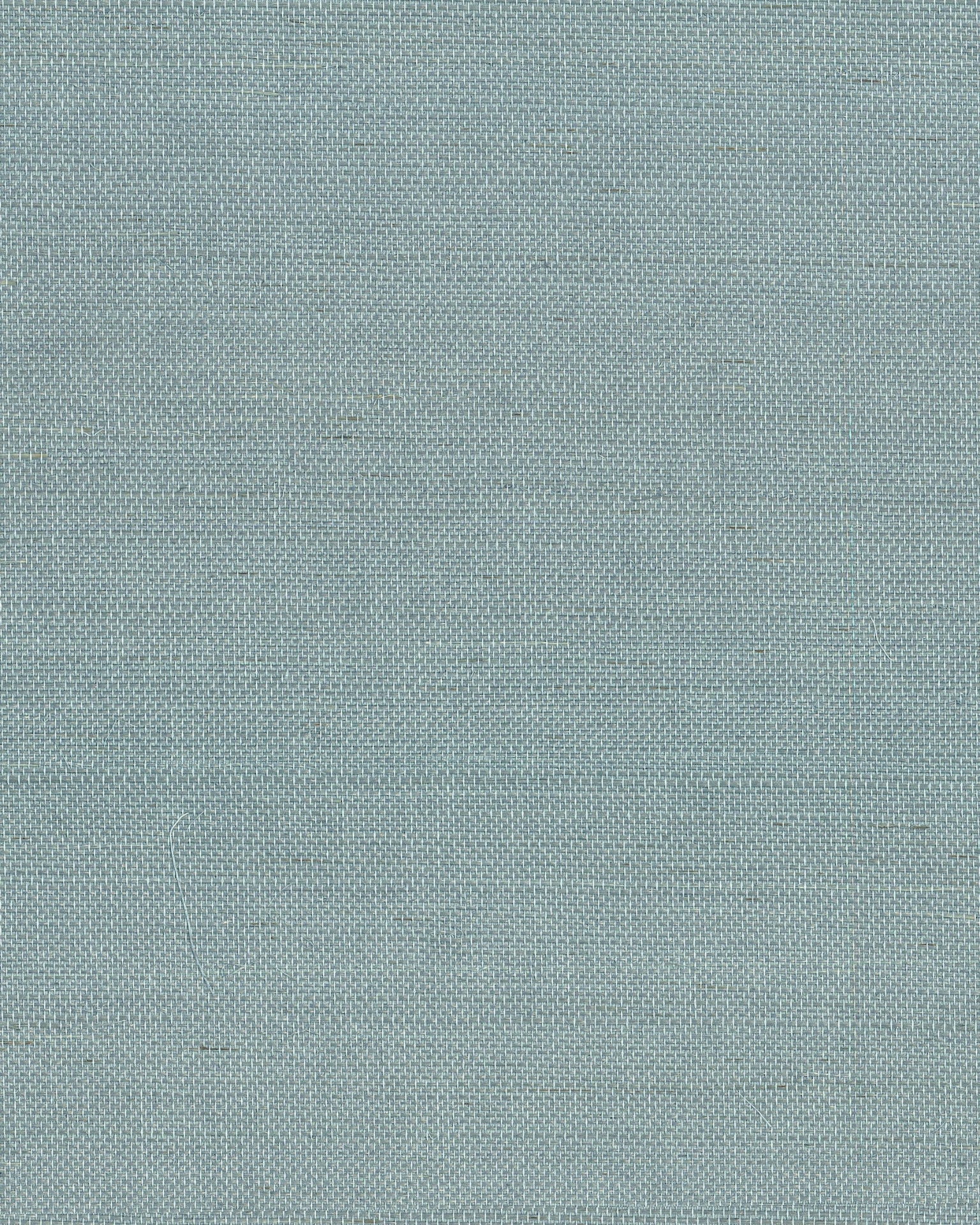 maguey-dragonfly-sisal-wallpaper-dragonfly-york-wallcoverings-gv0153nw