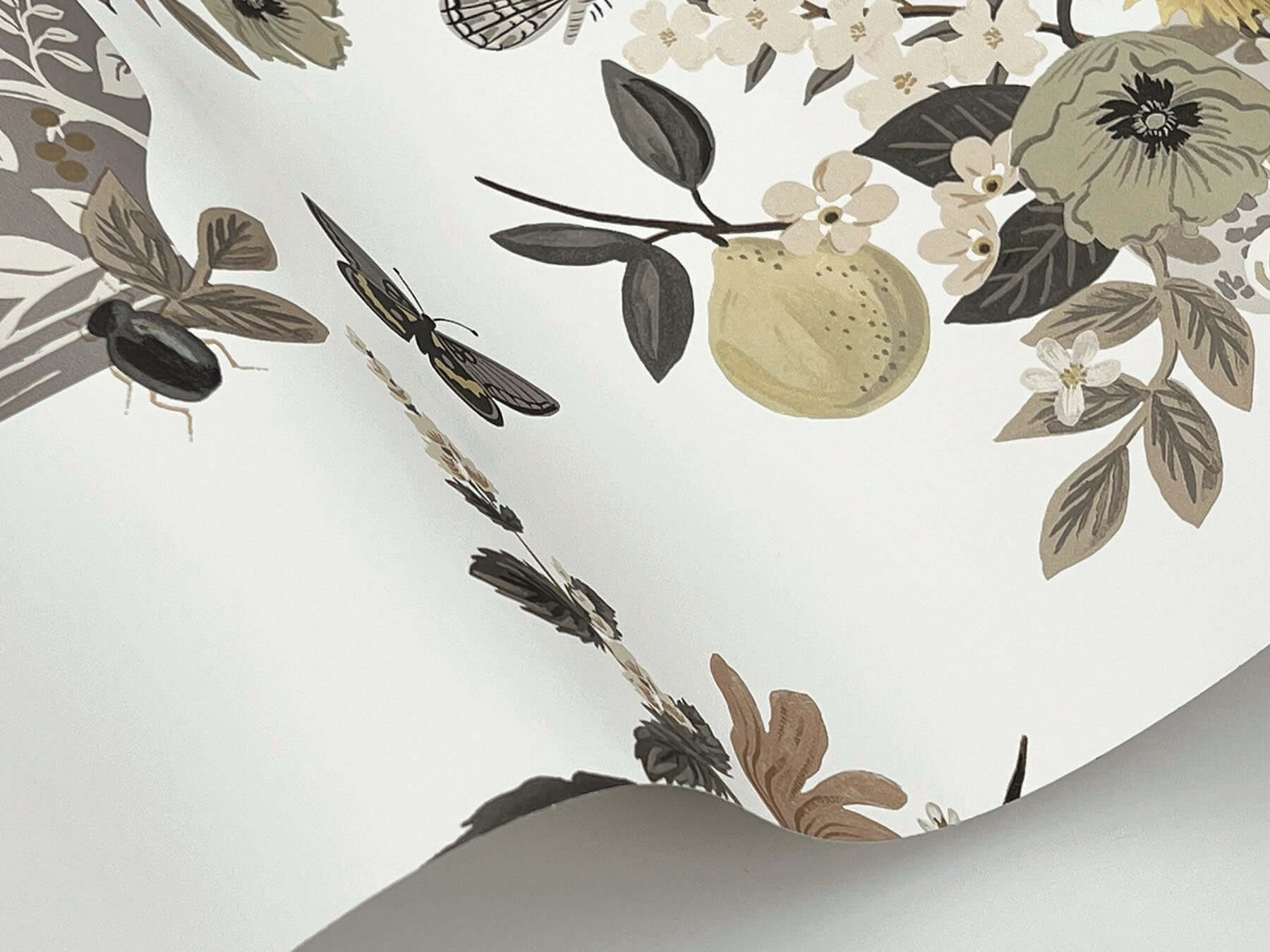 flower-studies-wallpaper-linen-multi-york-wallcoverings-rf7403 - York Wallcoverings Wallpaper