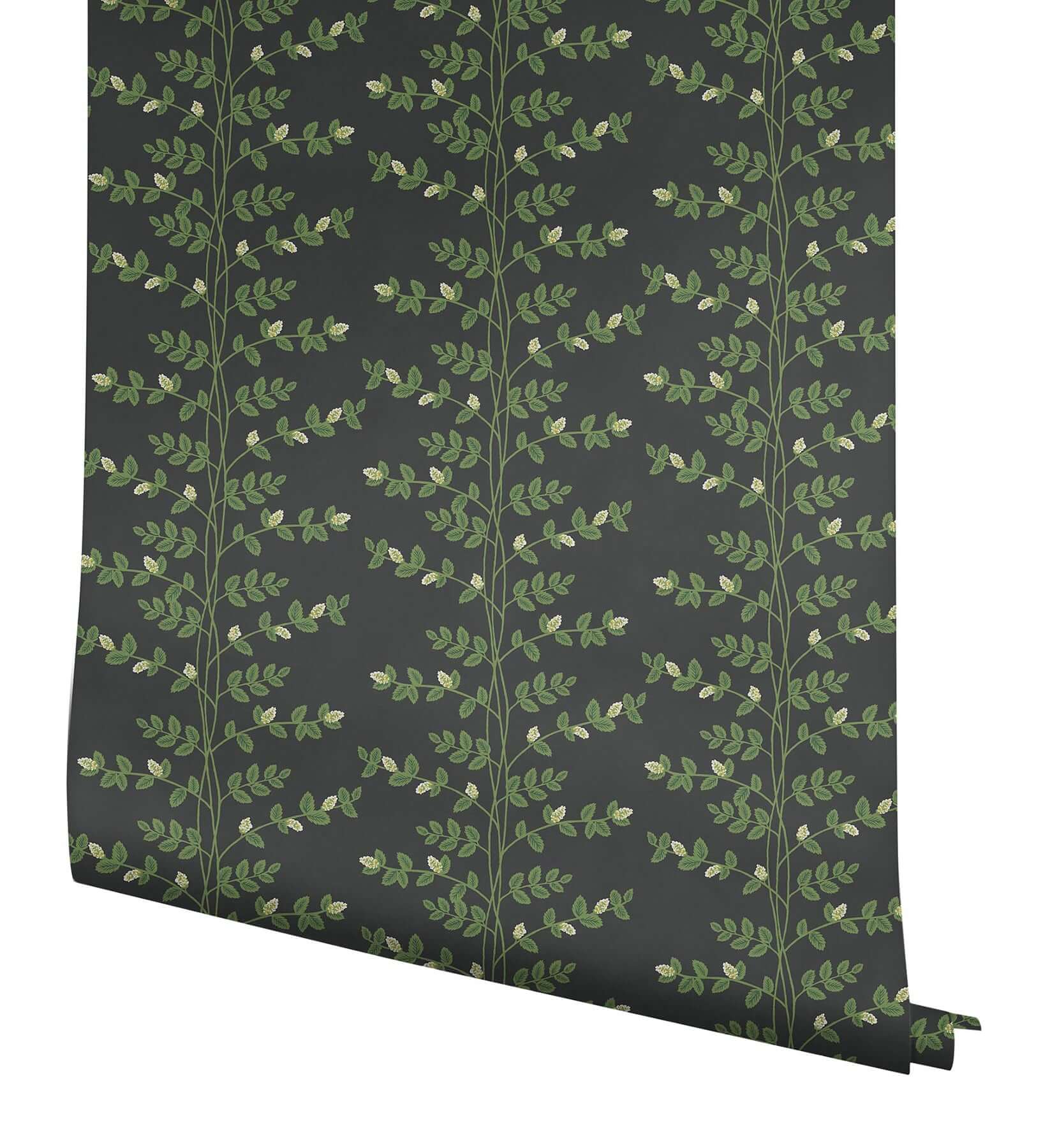 climbing-vine-wallpaper-black-york-wallcoverings-rf7422 - York Wallcoverings Wallpaper