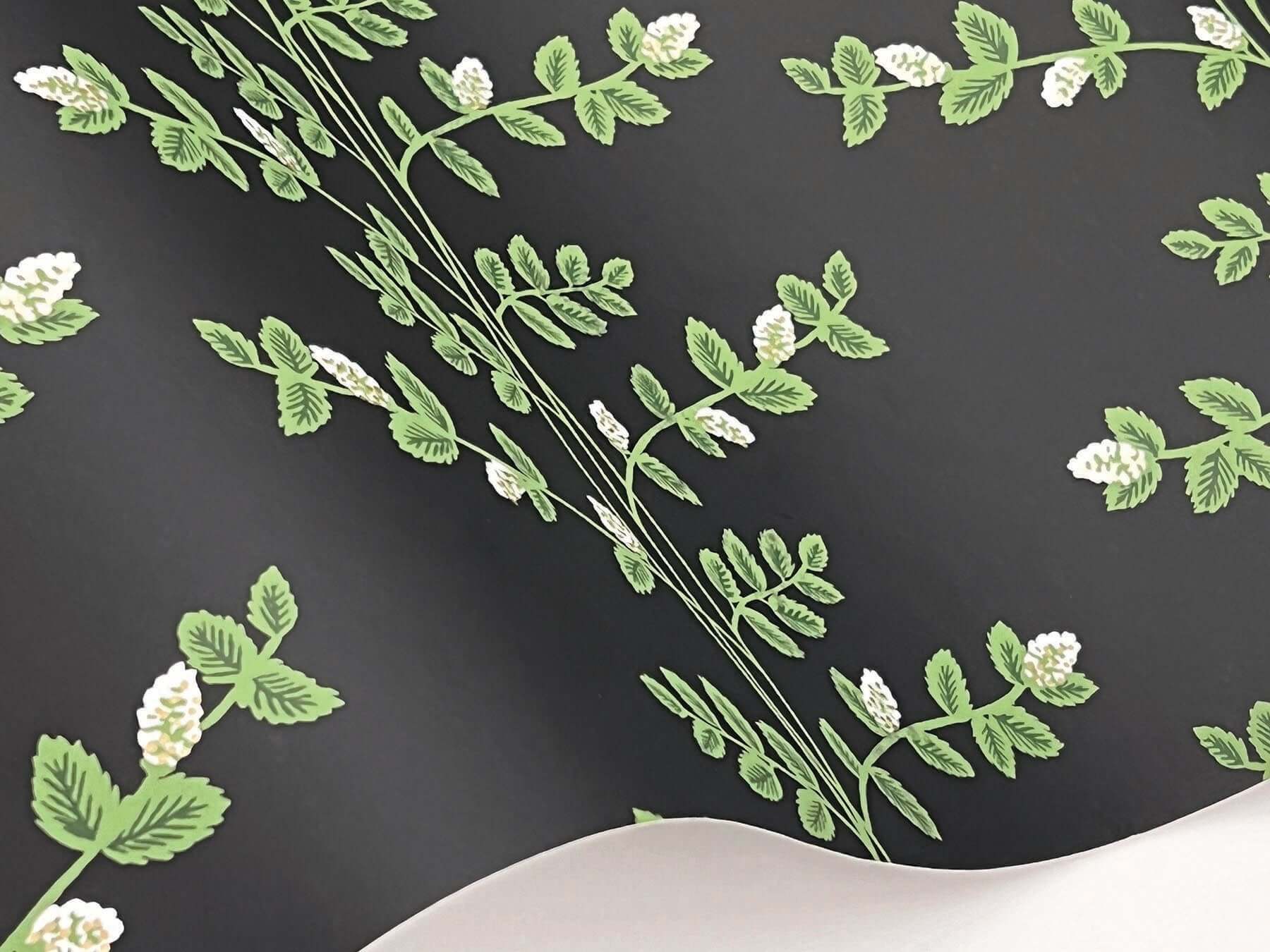 climbing-vine-wallpaper-black-york-wallcoverings-rf7422 - York Wallcoverings Wallpaper