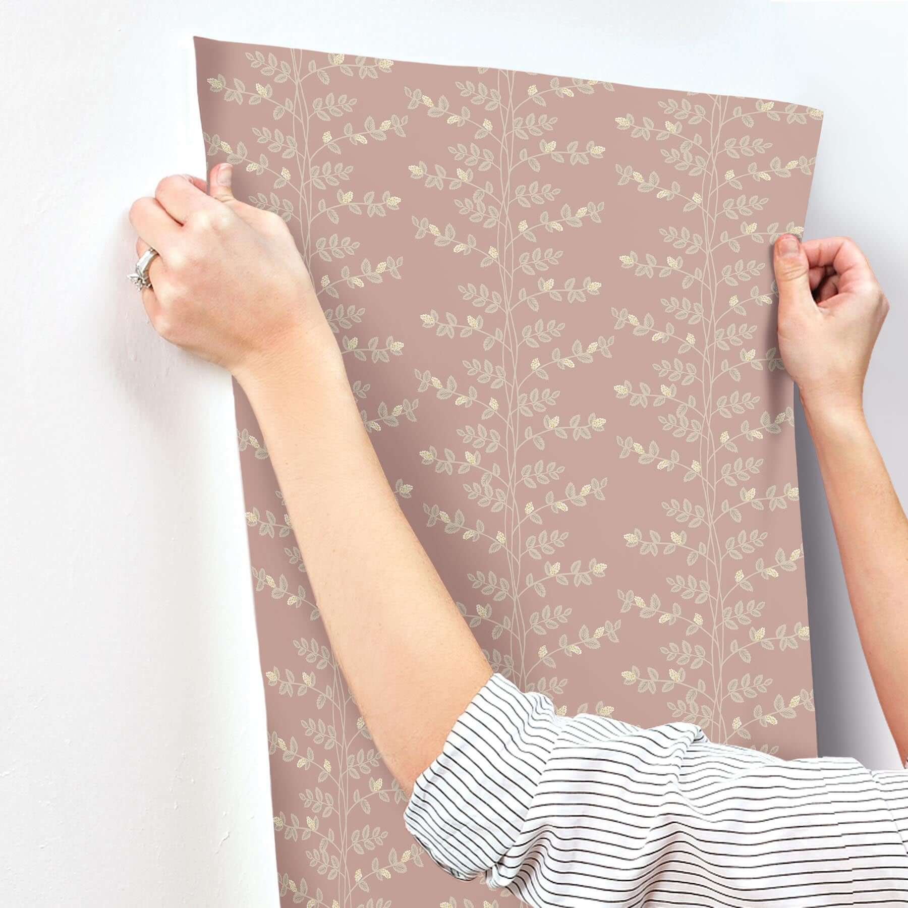climbing-vine-rose-wallpaper-york-wallcoverings-rf7426 - York Wallpaper Wallpaper