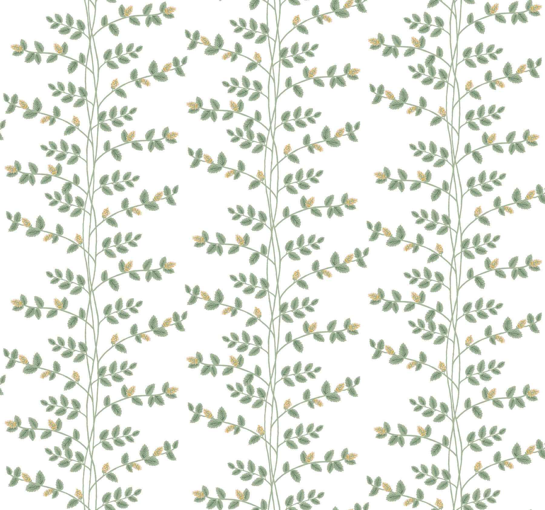 Climbing Vine Gold Wallpaper - York Wallcoverings - RF7424