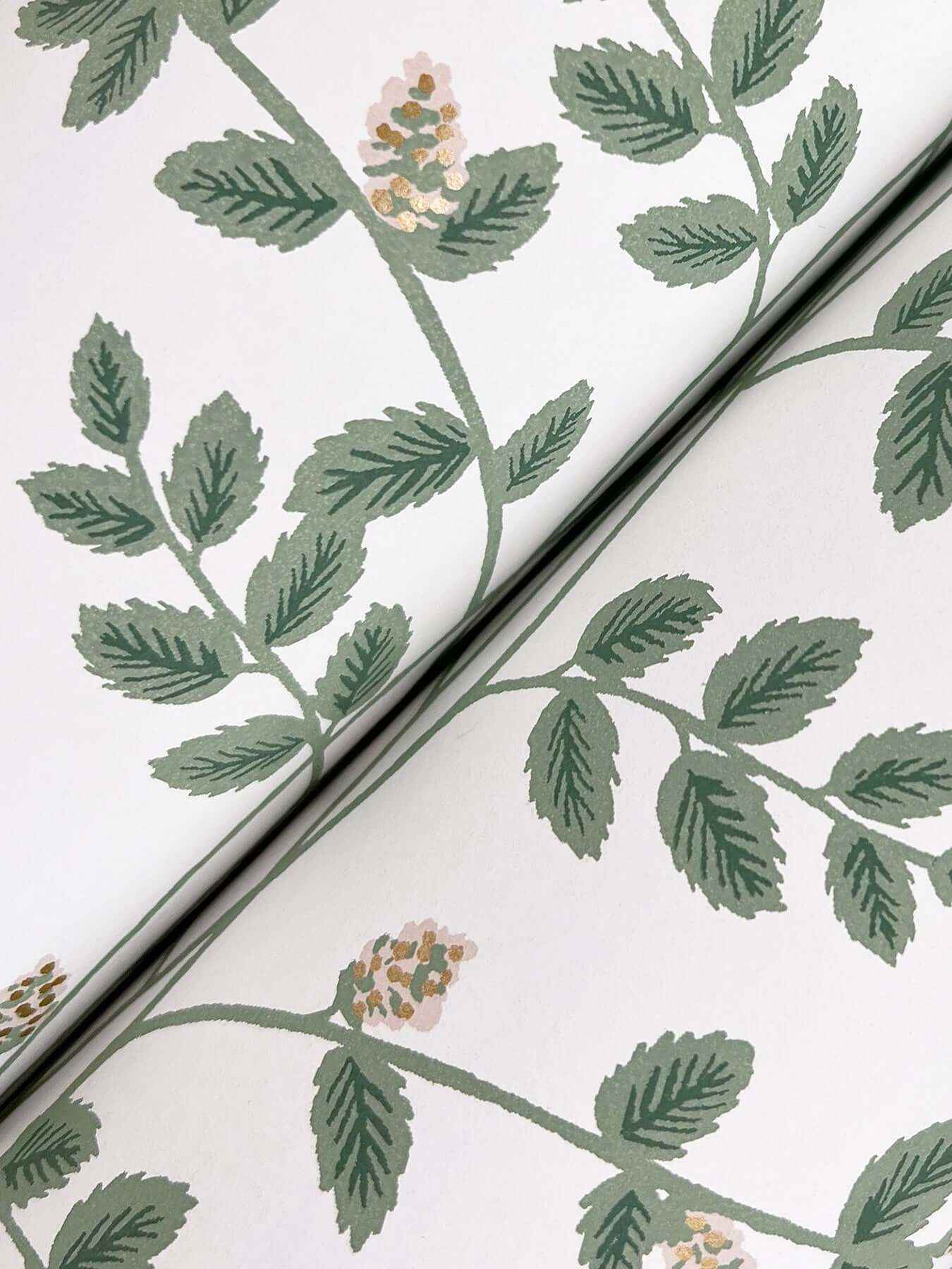 Climbing Vine Gold Wallpaper - York Wallcoverings - RF7424 - York Wallcoverings Wallpaper