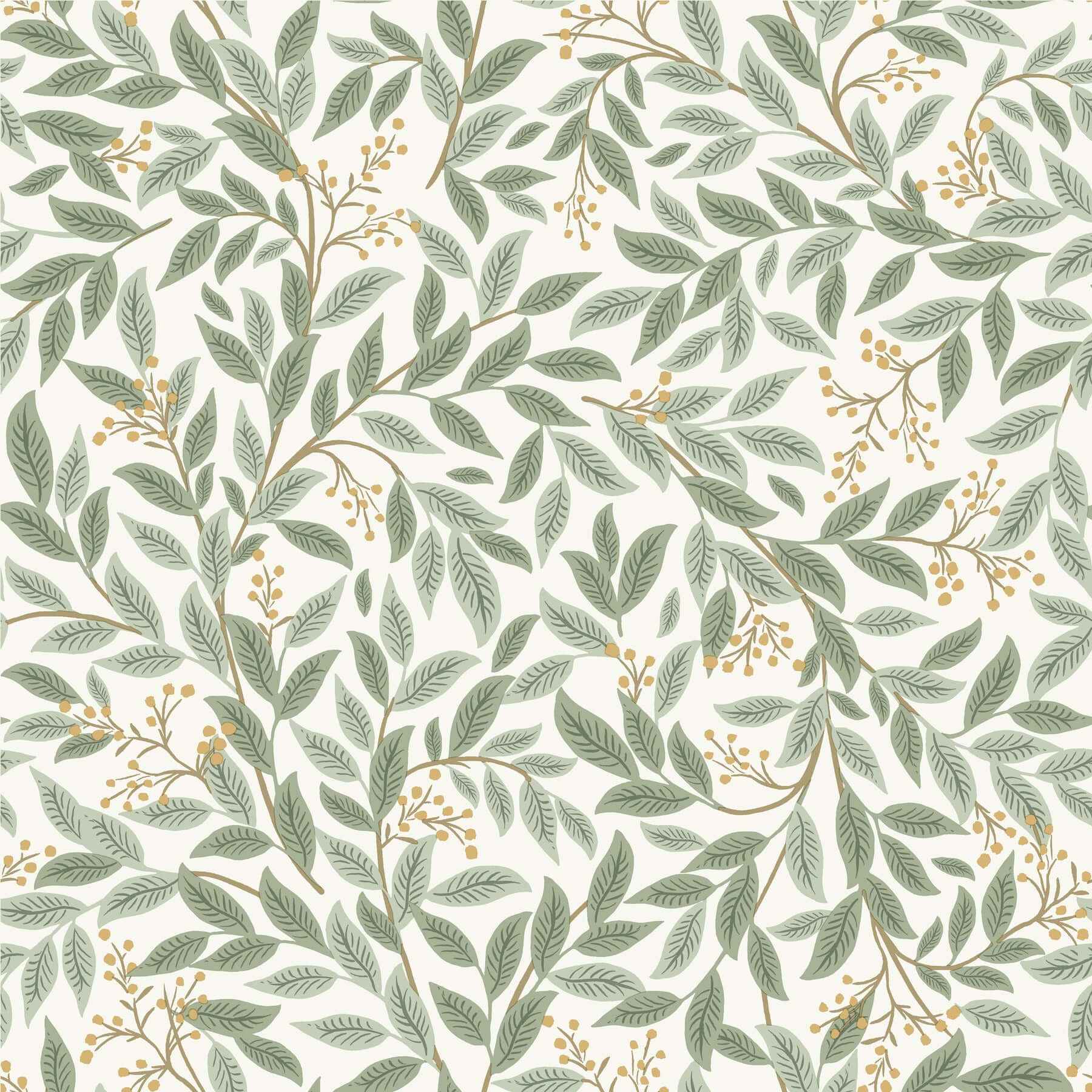 Willowberry Sage Wallpaper - York Wallcoverings - RF7465 - York Wallcoverings Wallpaper