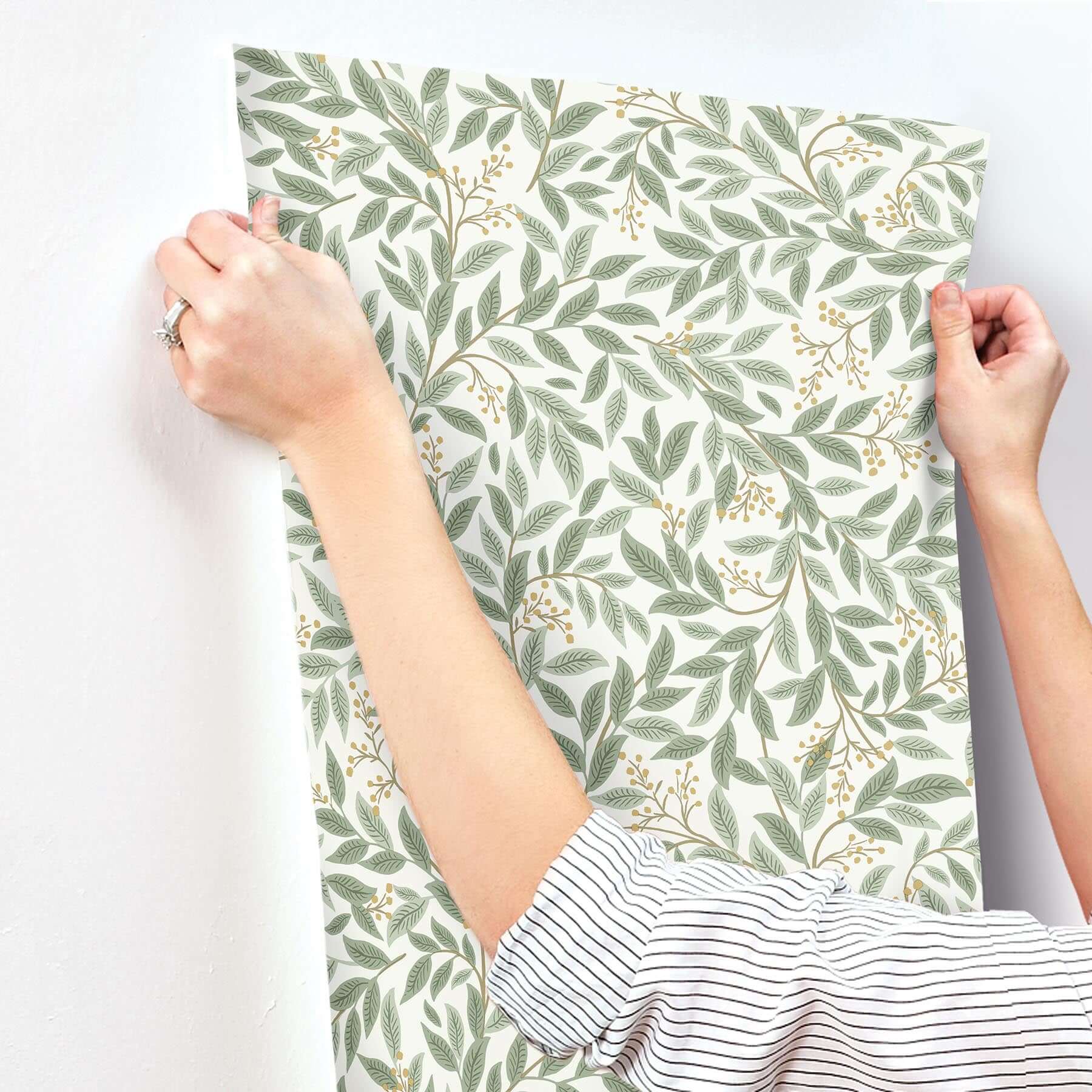 willowberry-wallpaper-sage-white-york-wallcoverings-rf7465 - York Wallcoverings Wallpaper
