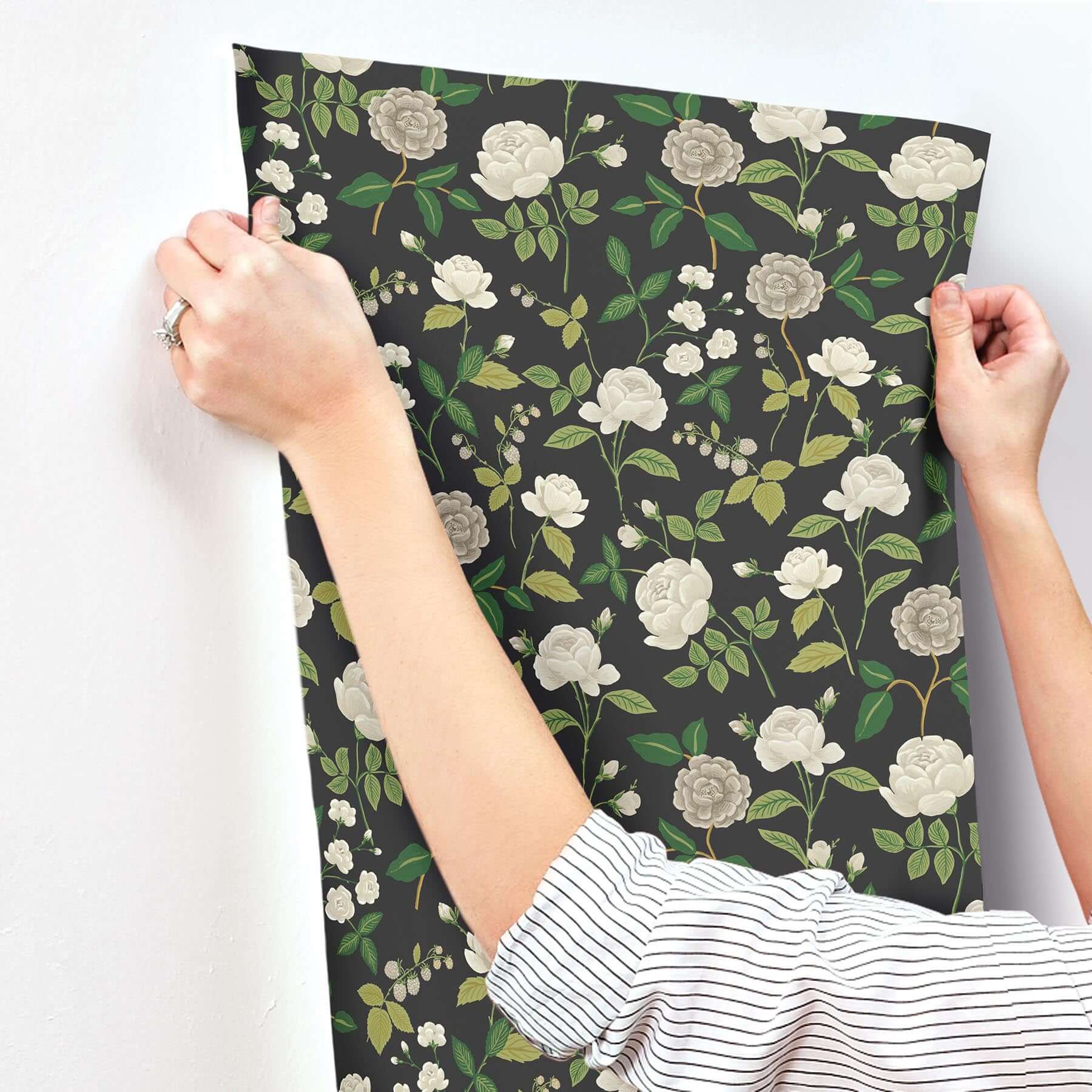 roses-wallpaper-black-york-wallcoverings-rf7542 - York Wallcoverings Wallpaper