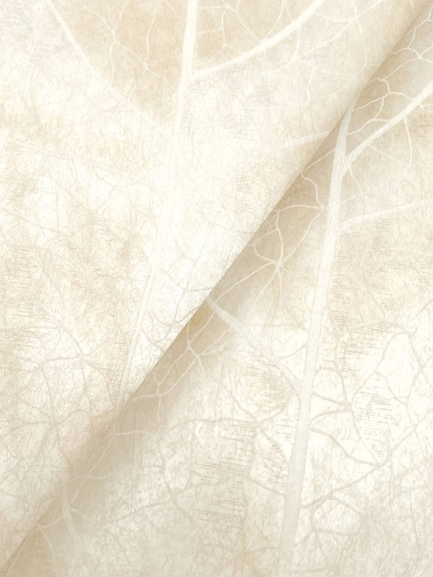 dicot-spa-leaf-wallpaper-pearl-york-wallcoverings-nt6145